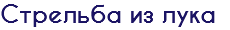 Стрельба из лука