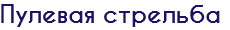 Пулевая стрельба
