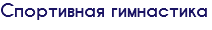 Спортивная гимнастика
