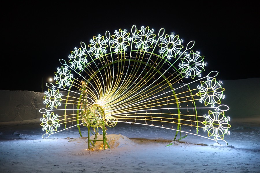Фото: Андрей Сорокин /ЯСИА