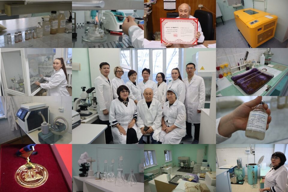 О разработке препаратов для животных и работе с опасными микроорганизмами рассказали ученые Якутии