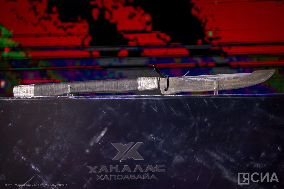 Фото: Мария Васильева, ЯСИА