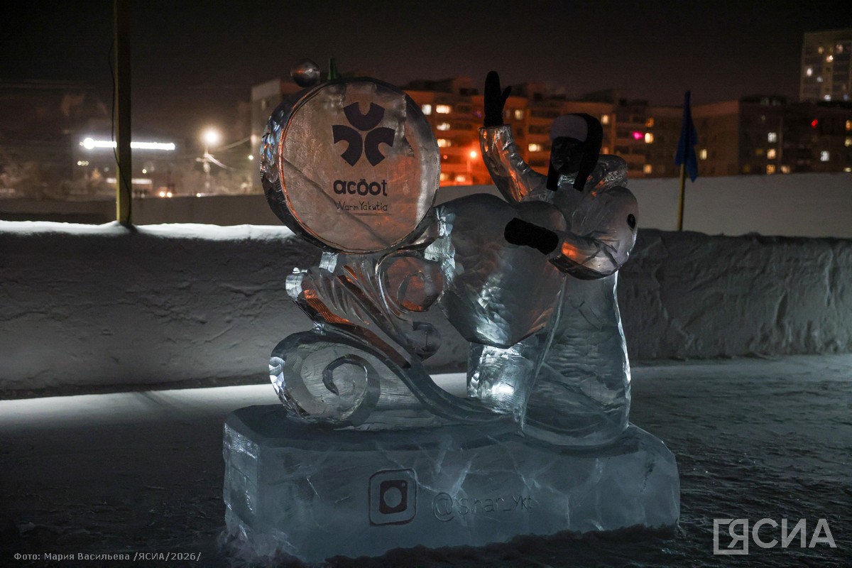 Фото: Мария Васильева/ЯСИА