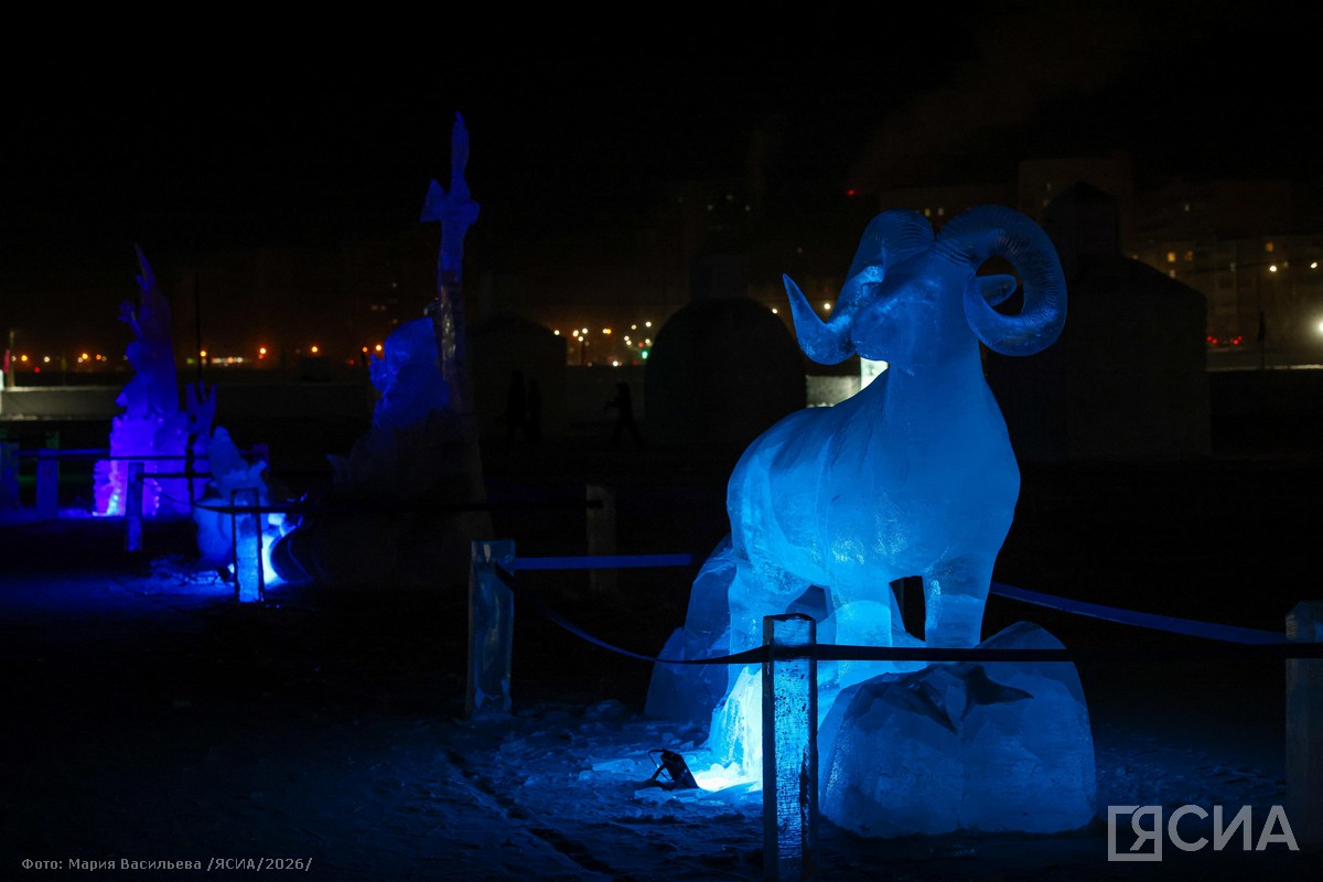 Фото: Мария Васильева/ЯСИА