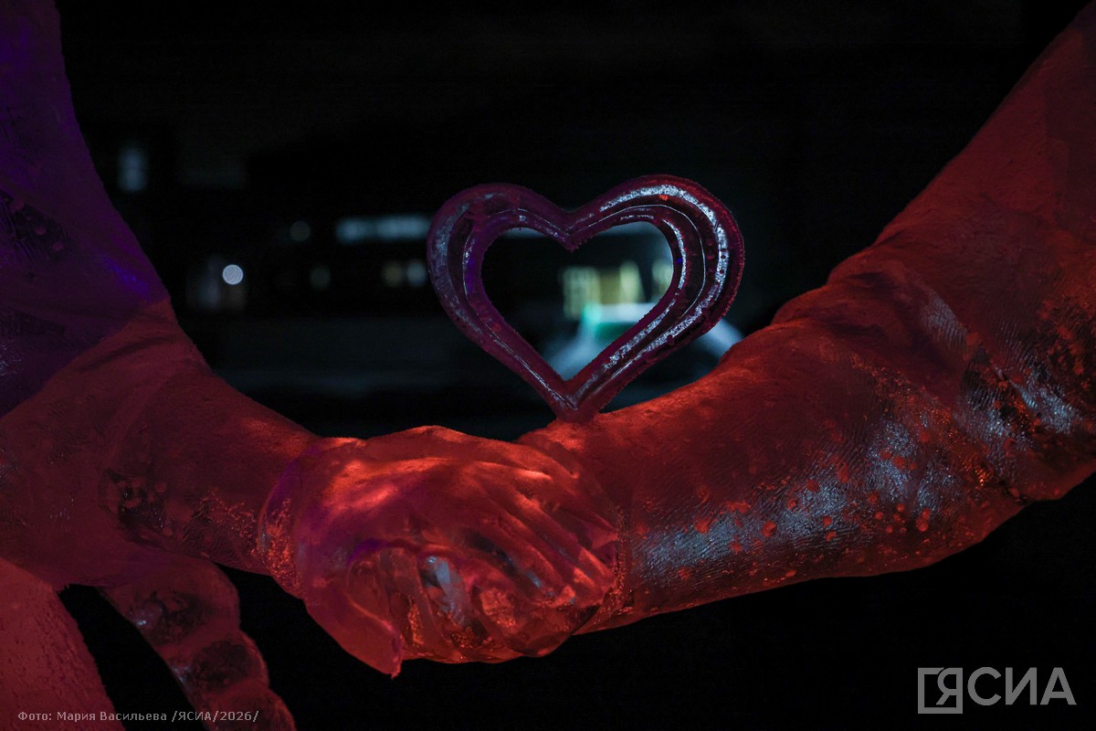 Фото: Мария Васильева/ЯСИА