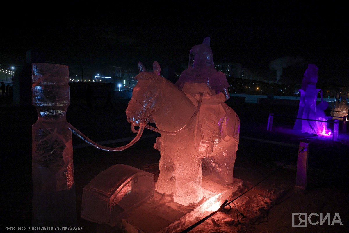 Фото: Мария Васильева/ЯСИА