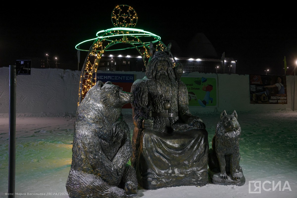 Фото: Мария Васильева/ЯСИА