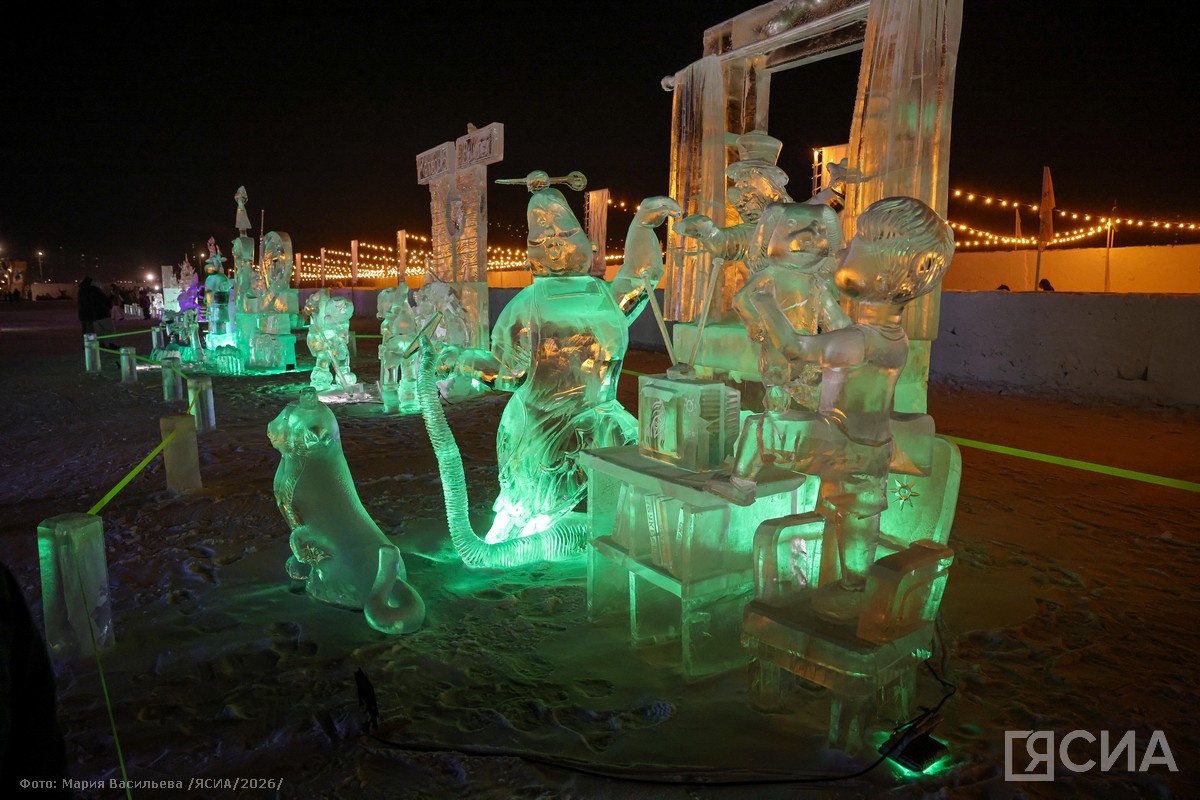 Фото: Мария Васильева/ЯСИА