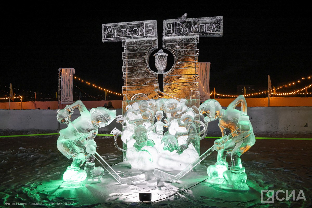 Фото: Мария Васильева/ЯСИА