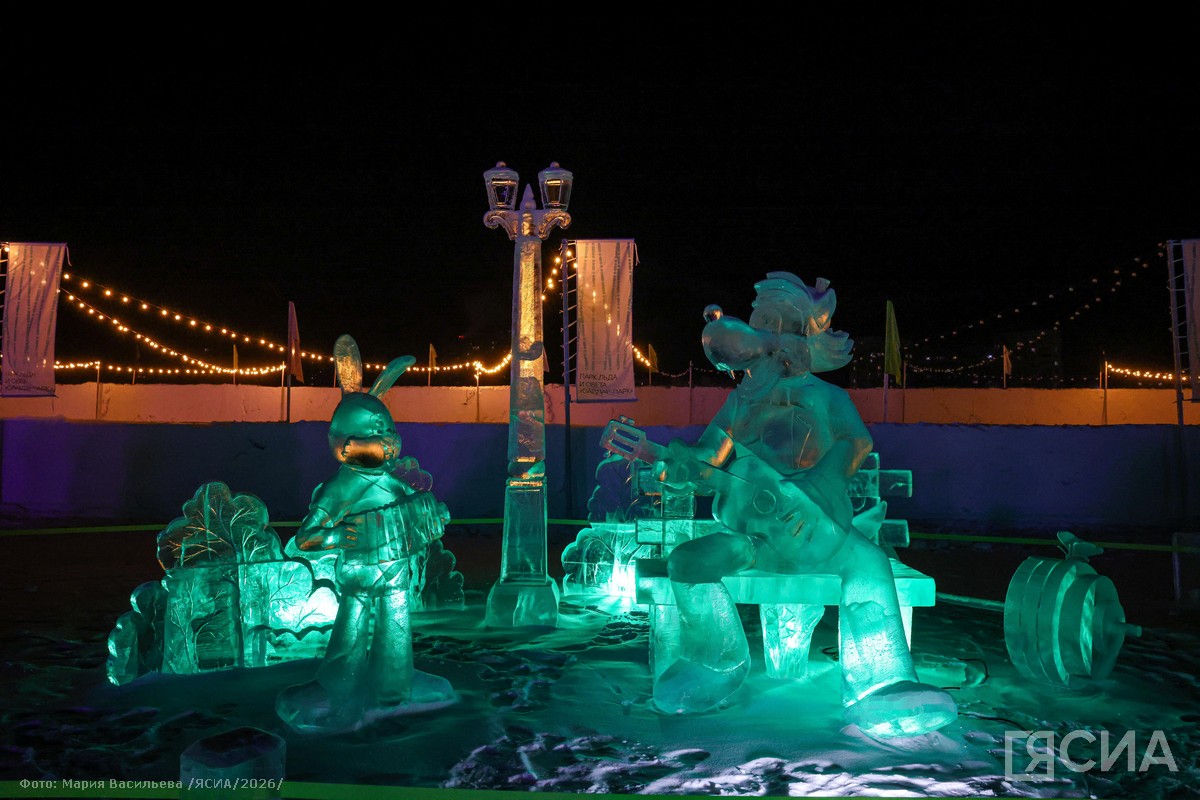 Фото: Мария Васильева/ЯСИА