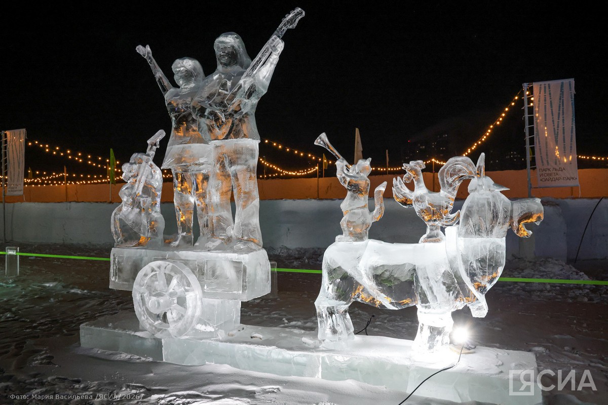 Фото: Мария Васильева/ЯСИА