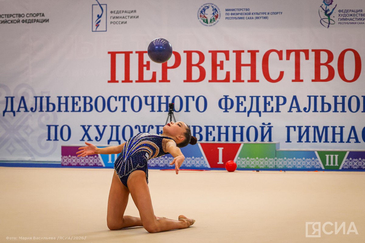 Фото: Мария Васильева/ЯСИА