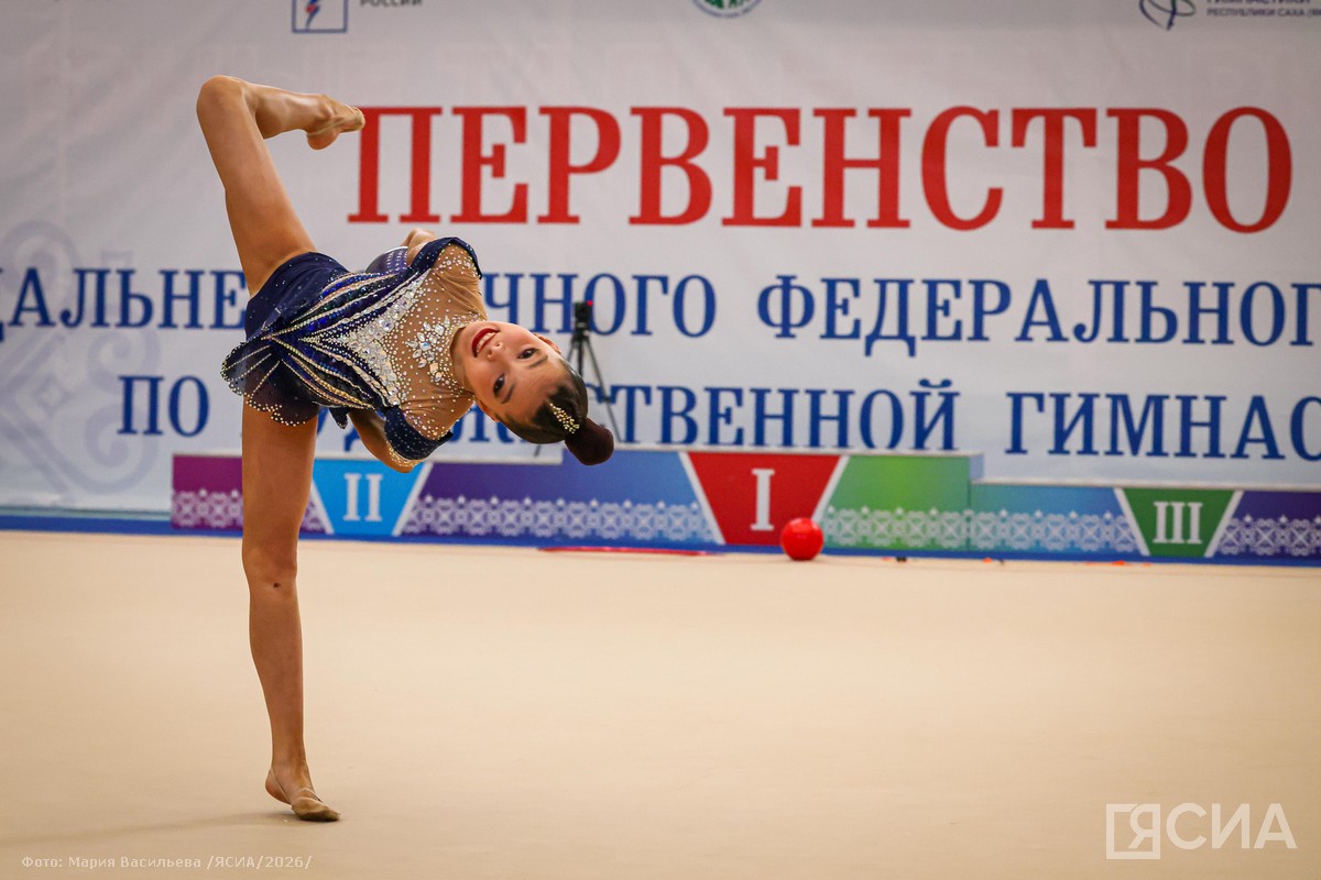 Фото: Мария Васильева/ЯСИА