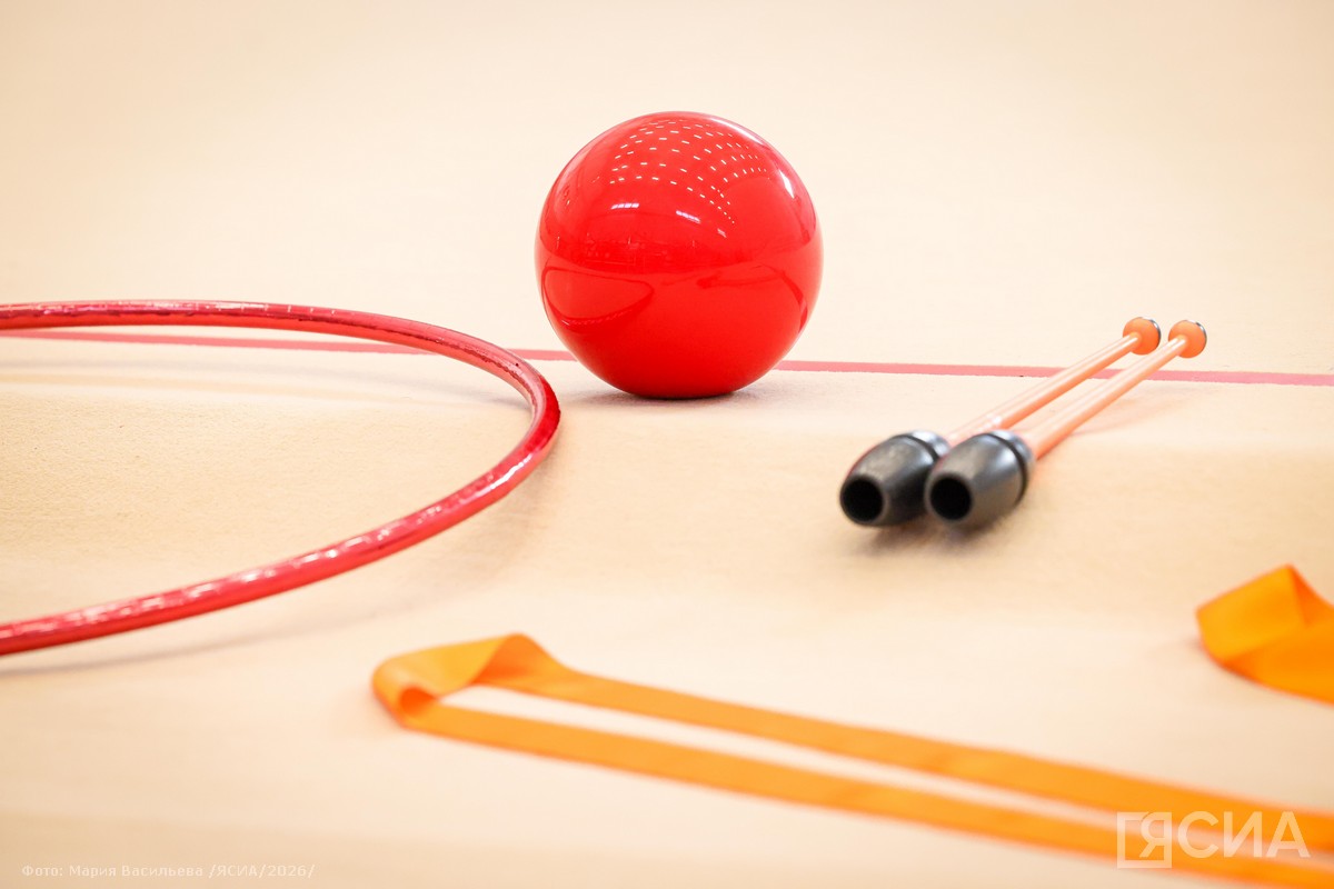 Фото: Мария Васильева/ЯСИА