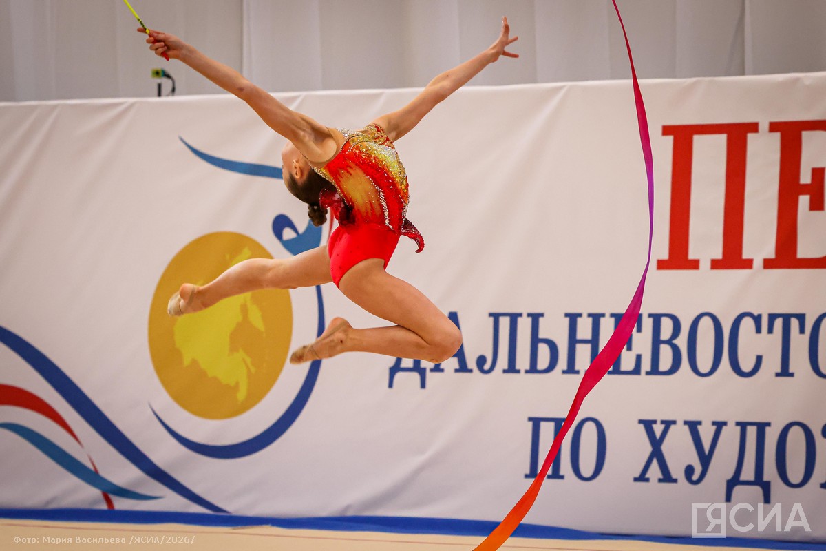 Фото: Мария Васильева/ЯСИА