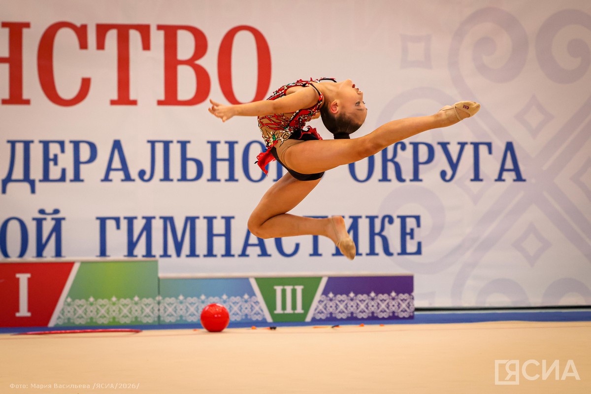 Фото: Мария Васильева/ЯСИА