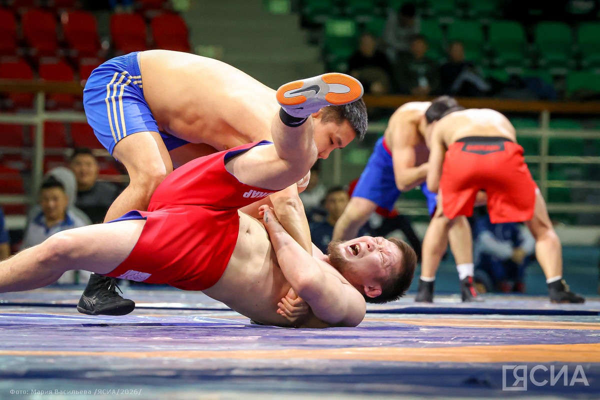 Фото: Мария Васильева, ЯСИА 