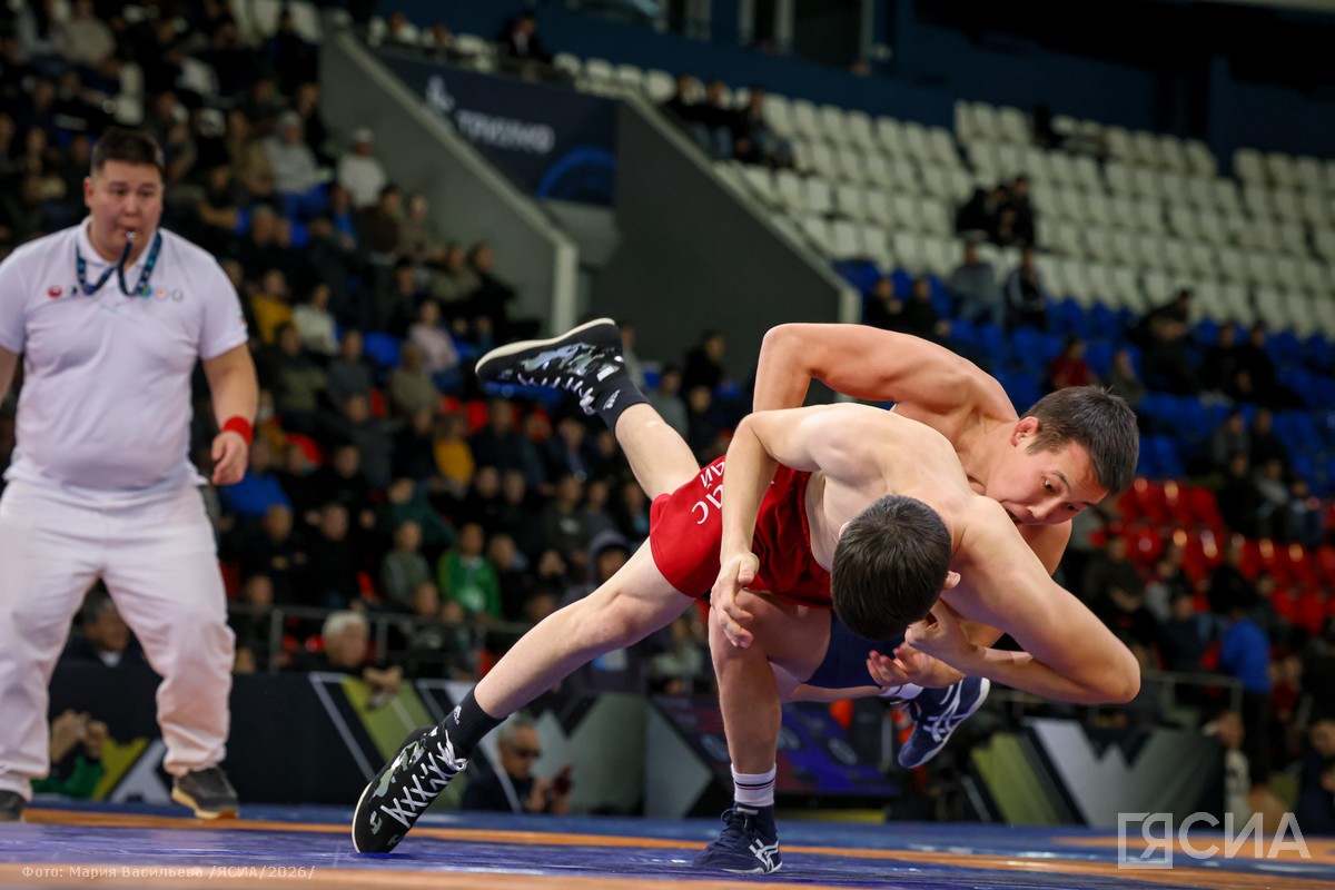 Фото: Мария Васильева, ЯСИА 