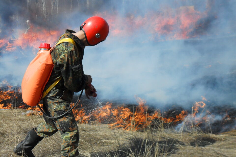 В Якутии виновник лесного пожара возместит затраты на тушение