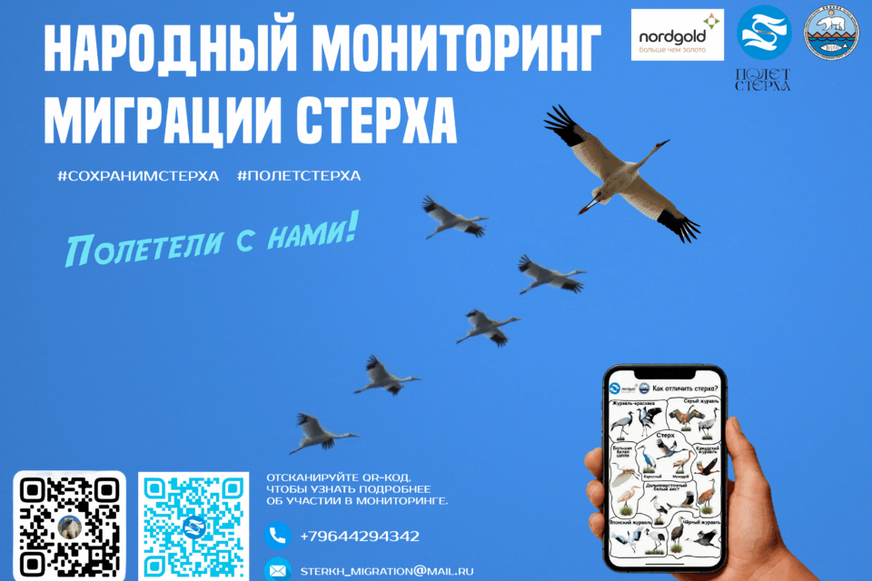 Якутяне могут помочь в мониторинге миграции стерха
