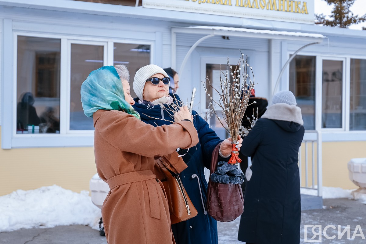 Фото: Андрей Сорокин/ЯСИА