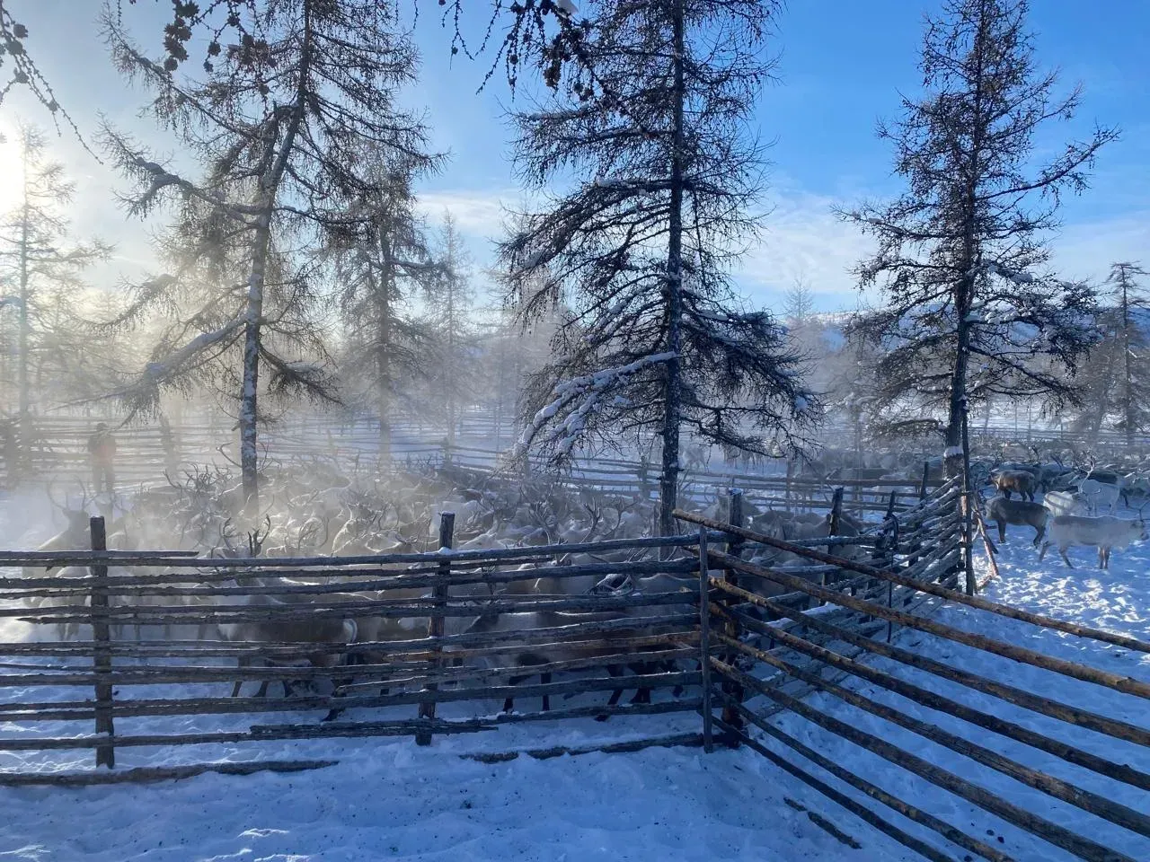 Фото: sakha.gov.ru
