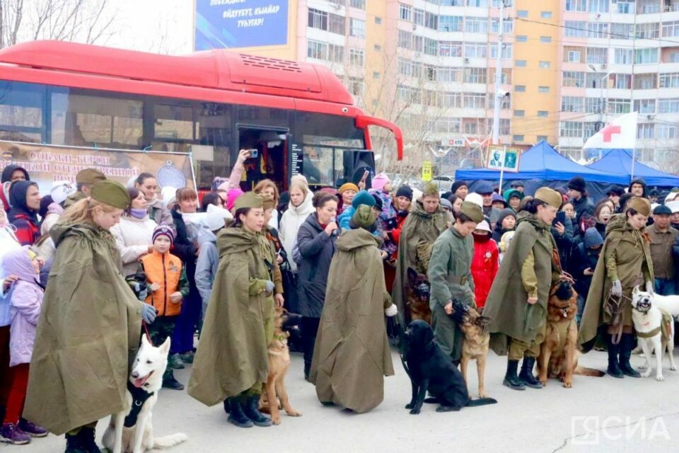 Собаки в десятый раз примут участие в военно-патриотическом шествии в Якутске