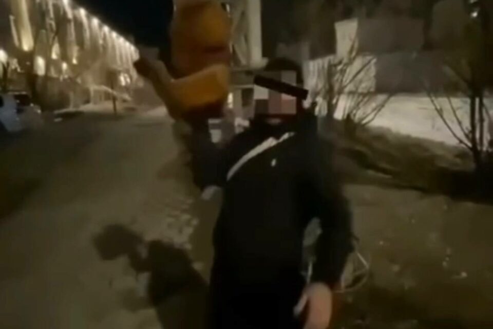 В Якутске вандалы осквернили скульптуру совы