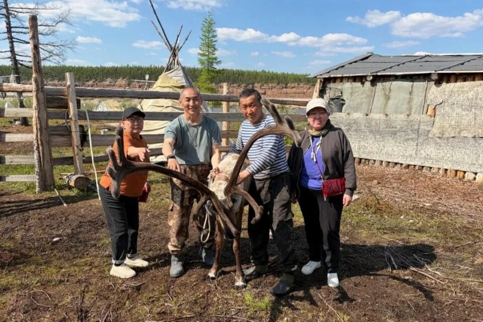 Якутянин открыл семейную ферму по разведению оленей в Оленекском районе