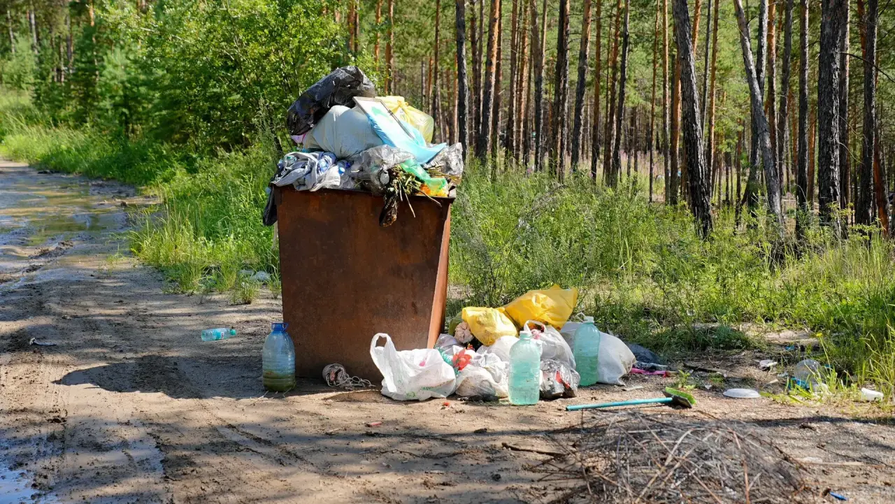 Фото: https://max.ru/channel_sadovnikovdd