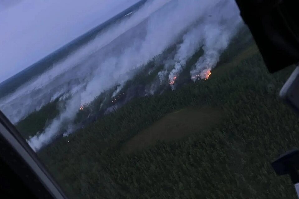 В Кобяйском районе потушили лесной пожар площадью 145 гектаров
