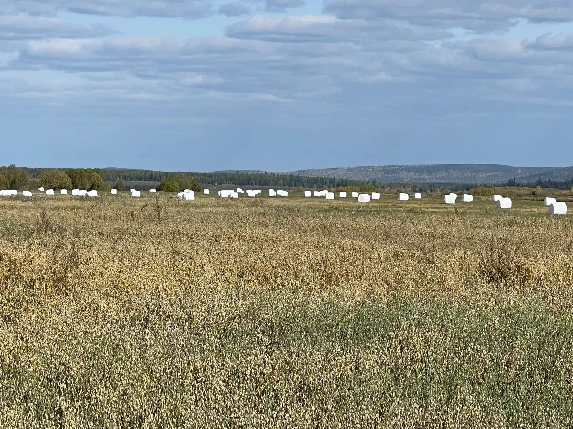 Фото: sakha.gov,ru